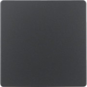 Zentralplatte anth 75940485 