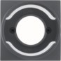 morepic-1
