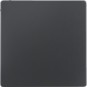 morepic-1