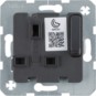 morepic-1