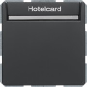 Relais-Schalter Hotelcard anthrazit samt 16406096 