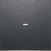 Tast-Abdeckung 1f. anth 80960285 