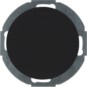 morepic-1