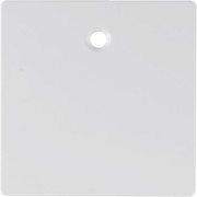 Zentralstück Zugschalter 11466089 