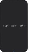 Touch-Sensor 1fach Glas schwarz 75141165 