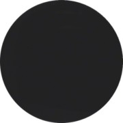 Taste 1fach schwarz glänzend 85141131 