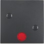 morepic-1