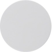 Zentralstück pows/gl f.Drehdimmer pows gl 11372089 