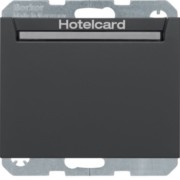 Relais-Schalter Hotelcard anthrazit matt 16417116 