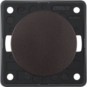 morepic-1