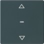 morepic-1