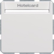 Relais-Schalter Hotelcard polarweiß samt 16406099 