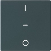Abdeckung Tastsensor-Modul 1-fach anthrazit 80962226 