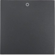 Wippe anth matt mit Aufdruck 0 16221606 