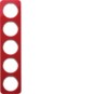 morepic-1