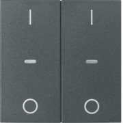 Abdeckung Tastsensor-Modul 2-fach anthrazit 80962385 