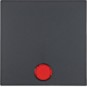 morepic-1