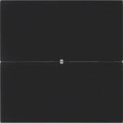 Tastsensor 2fach Glas schwarz 75162092 