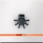 morepic-1