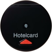 Hotelcardschalter sw 164165 