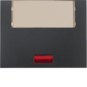 morepic-1