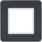 morepic-1