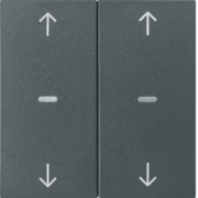 Abdeckung Tastsensor-Modul 2-fach anthrazit 80961385 