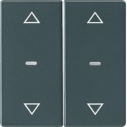 Abdeckung Tastsensor-Modul 2-fach anthrazit 80961326 