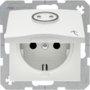 Schuko-Steckdose pws Symbol Steckdose 47861949 