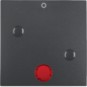 morepic-1