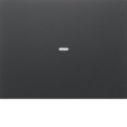 Tast-Abdeckung 1f. anth 80960275 