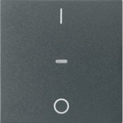 Abdeckung Tastsensor-Modul 1-fach anthrazit 80962285 