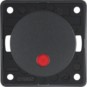 morepic-1