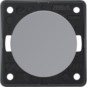 morepic-1