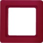morepic-1