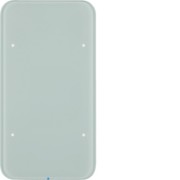 Touch-Sensor 1fach Glas polarweiß 75141860 