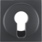 morepic-1