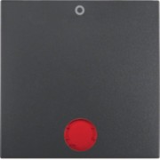 Wippe anth matt mit roter Linse 16241606 