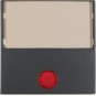 morepic-1