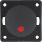 morepic-1