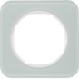 morepic-1