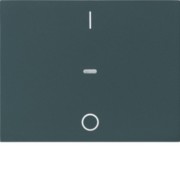 Abdeckung Tastsensor-Modul 1-fach anthrazit 80962275 
