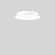 RZB Wand-u. Deckenleuchte 830/840, ML, ws 312751.002 