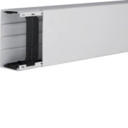 Leitungsführungskanal B110xH60mm LF 601100 lgr 