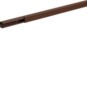 morepic-1
