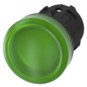 morepic-1