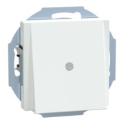 Zentralplatte aws/gl Leitungsauslass 296325 