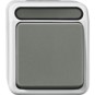 morepic-1