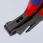 morepic-5