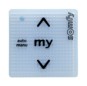 morepic-1